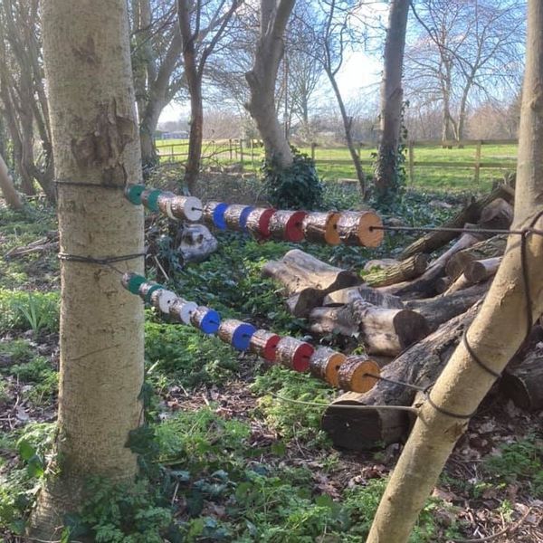 Little Squirrels Birthday Session